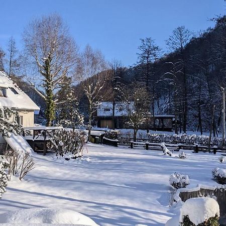 Agroturystyka Spa Daire Zelków Dış mekan fotoğraf