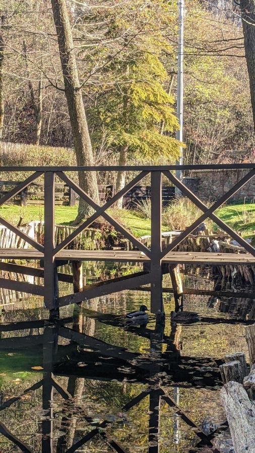 Agroturystyka Spa Daire Zelków Dış mekan fotoğraf