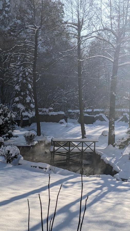 Agroturystyka Spa Daire Zelków Dış mekan fotoğraf