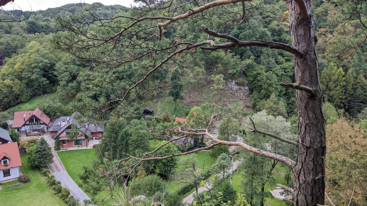 Agroturystyka Spa Daire Zelków Dış mekan fotoğraf