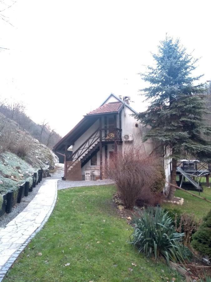 Agroturystyka Spa Daire Zelków Dış mekan fotoğraf